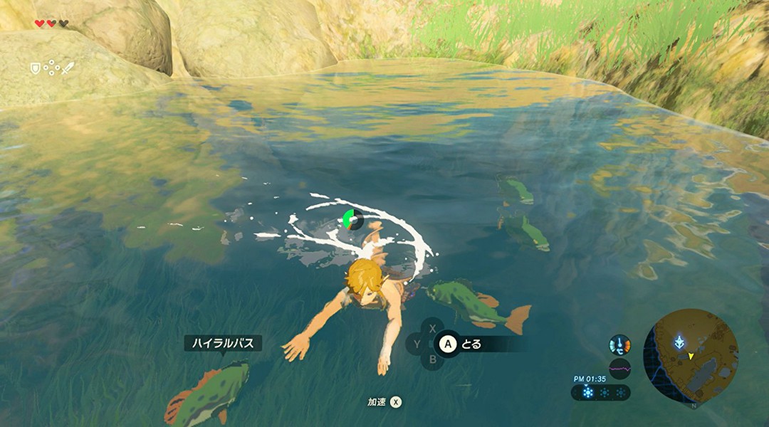 Zelda Breath of the wild