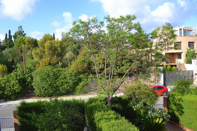 Un rarutero en Japón