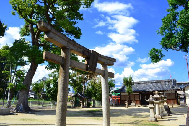 Un rarutero en Japón