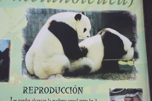 Jesulink en el Expomanga de Madrid