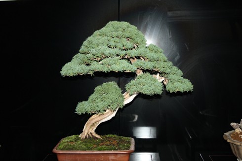 Foto de Jesulink en Barcelona Foto de Jesulink en Murcia