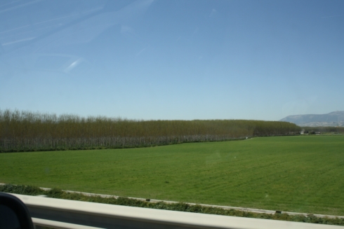 Foto de Raruto en Murcia