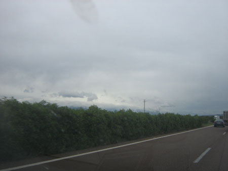 Foto de Raruto en Salï¿½n del Manga de Barcelona 2008