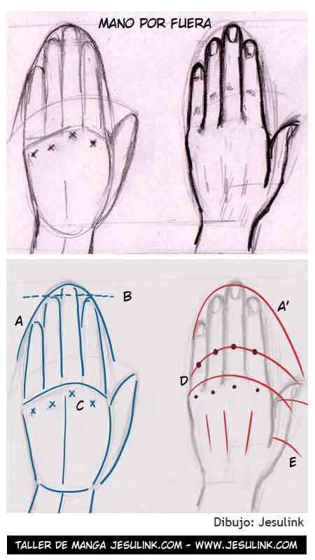 Cómo dibujar manos - Jesulink.com Cómo dibujar manos - Jesulink.com