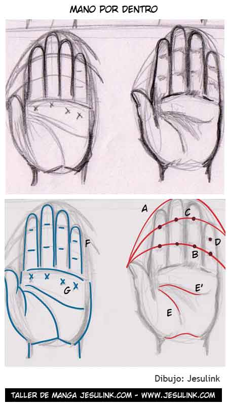 Cómo dibujar manos - Jesulink.com Cómo dibujar manos - Jesulink.com
