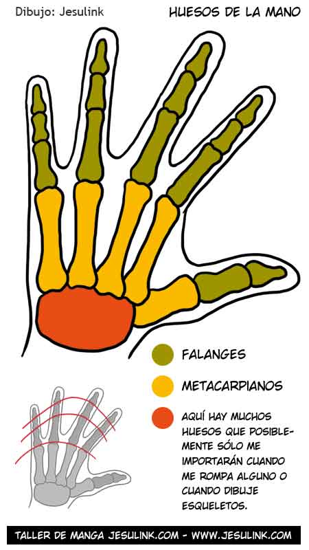 Cómo dibujar manos - Jesulink.com Cómo dibujar manos - Jesulink.com