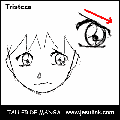 Taller de Manga. Ojo