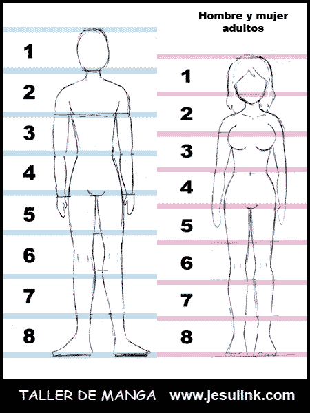 Taller de Manga. Cuerpo