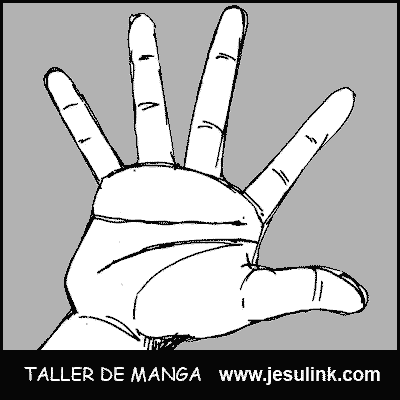 Taller de Manga. Manos