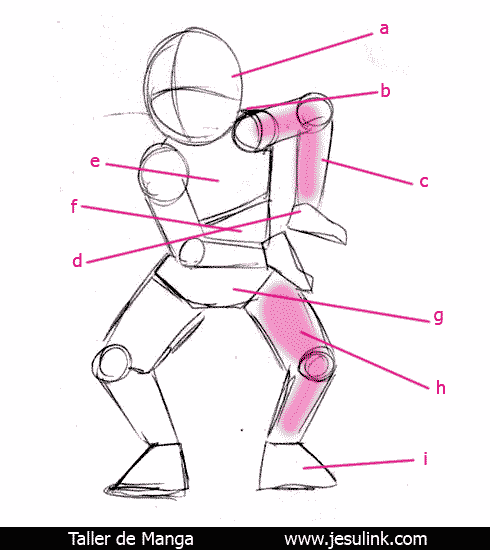 Taller de Manga dibujo esqueleto humano jesulink
