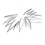 Cómo dibujar manga Imagen