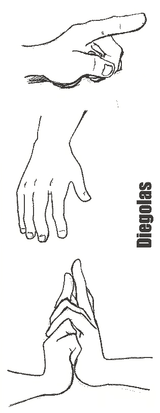 Taller de Manga. Manos